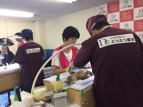 ぶIMG_3527