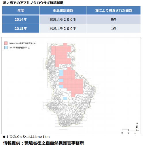 アマミノクロウサギ被害状況