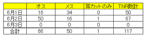 手術数（男木島）