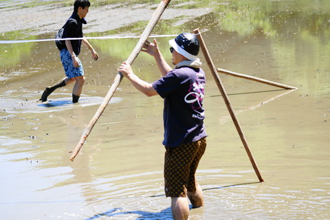 web0022