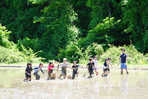 web0035