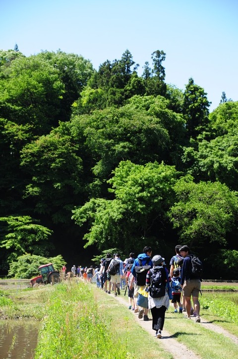 2018_大子田植え (23)