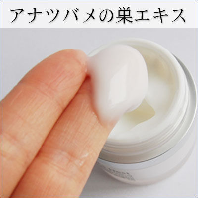 cream-02