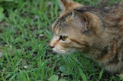 2005061920341800d.jpg