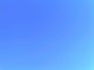 009808ca.jpg