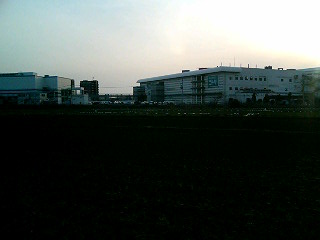 4d140755.jpg