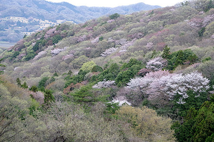 20170417tak_amamaki