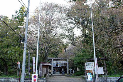 20170420jinjya_torii