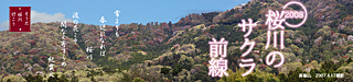 桜前線バナー
