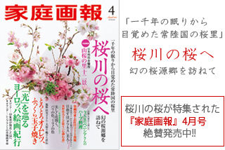 家庭画報バナー