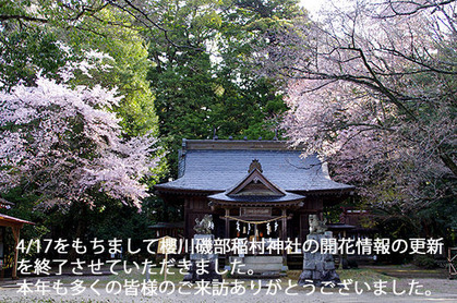 20160408jinjya_end