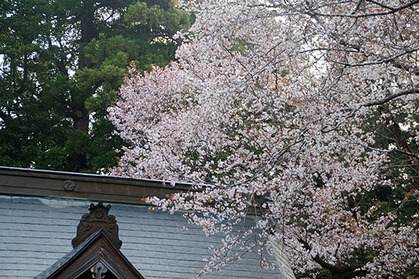 20180402jinjya_haiden