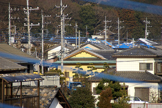 ブルーシートの屋根が多いね