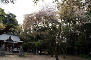 4/15の神社