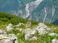 P1040728