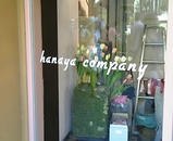 hanaya