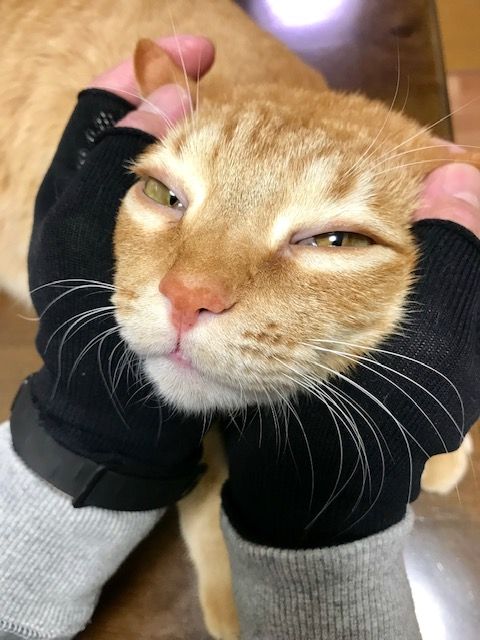 1901252