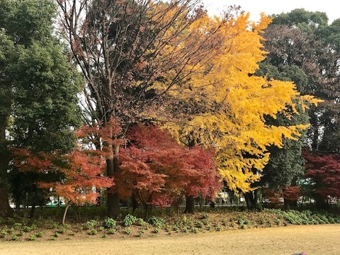 18120111