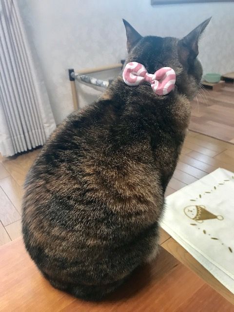 1901067