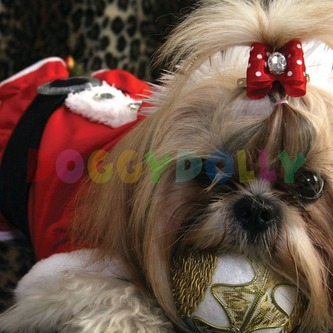 santa ST002 250b