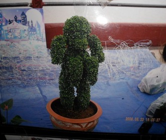 SAM_0036
