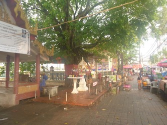 P1000255