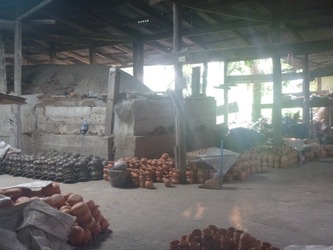 P1000252