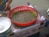IMG-20130525-00739