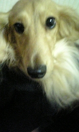 7d2ea34d.jpg