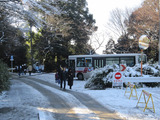 2011_0102_102209-IMG_4083