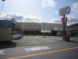 Hoshino2010 145