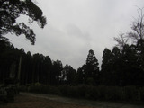 2012_1223_105344-IMG_4936