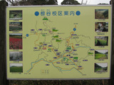 2012_1223_103614-IMG_4922
