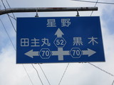 Hoshino2010 155