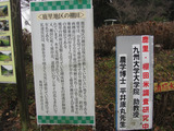 2012_1223_103512-IMG_4921