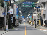 Hoshino2010 141