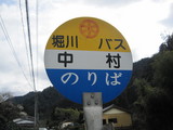Hoshino2010 194