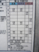 Hoshino2010 134