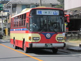 Hoshino2010 143