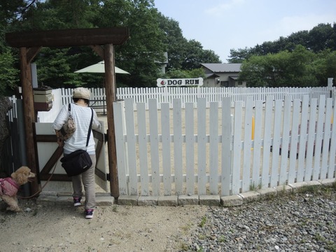 2018-7-25G DOGRUN