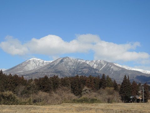 DSCN0002