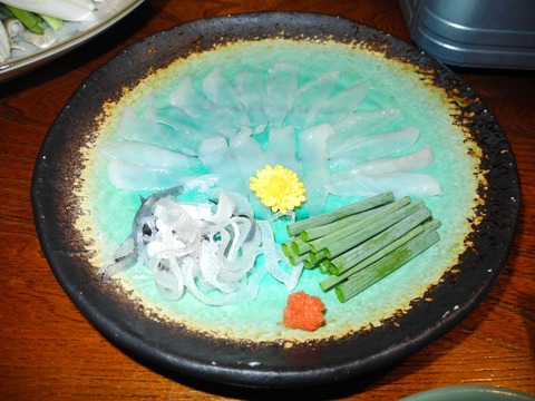2014-6-27 FUGU FUGUSASI