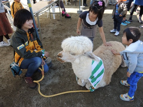 2014-10-25 05 KINAKO