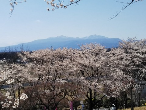 2019-4-14 F SIOBARA