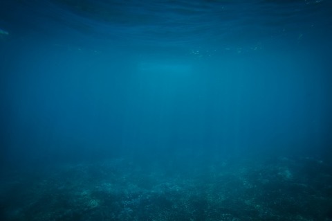 underwater-802092_640