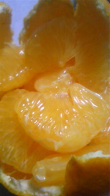 20ed51e9.jpg