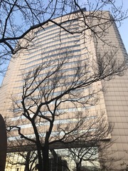 2016-12-20-07-07-55