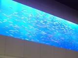 お魚