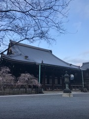 2017-04-19-06-56-57