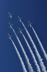 988770_359074370905603_2064459540_n